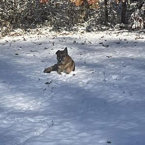 Meet your Posher, Wanda